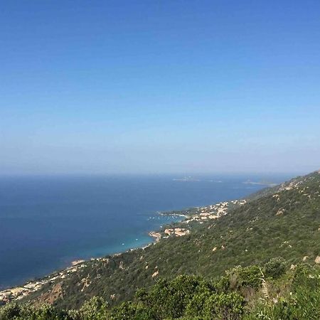 Ajaccio Magnifique T2 Neuf 40M2 Avec Balcon Au Trottel 4 Couchages Wifi Clim Parking Plage A Pieds 100M Екстер'єр фото