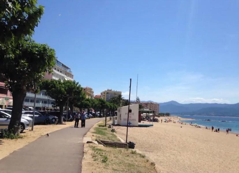 Ajaccio Magnifique T2 Neuf 40M2 Avec Balcon Au Trottel 4 Couchages Wifi Clim Parking Plage A Pieds 100M Екстер'єр фото