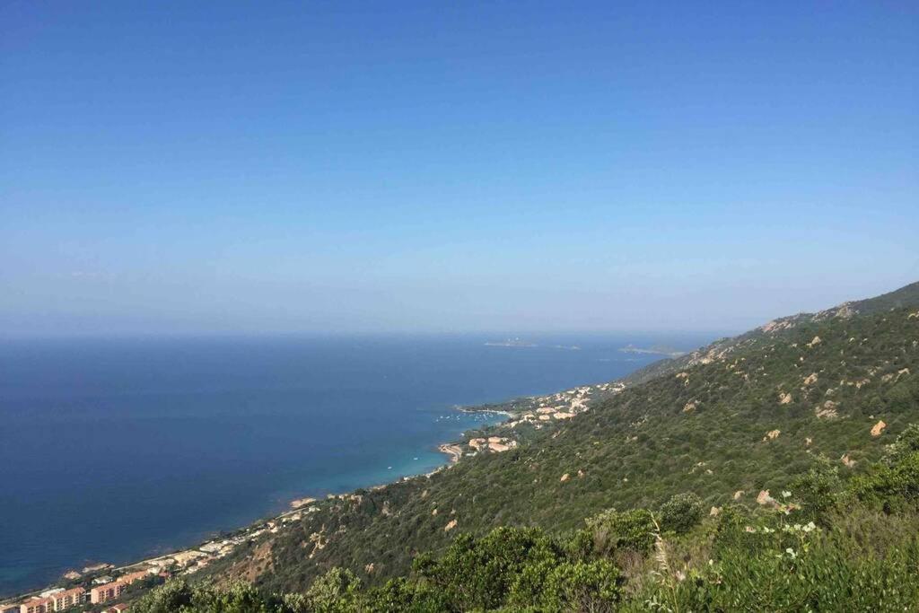 Ajaccio Magnifique T2 Neuf 40M2 Avec Balcon Au Trottel 4 Couchages Wifi Clim Parking Plage A Pieds 100M Екстер'єр фото