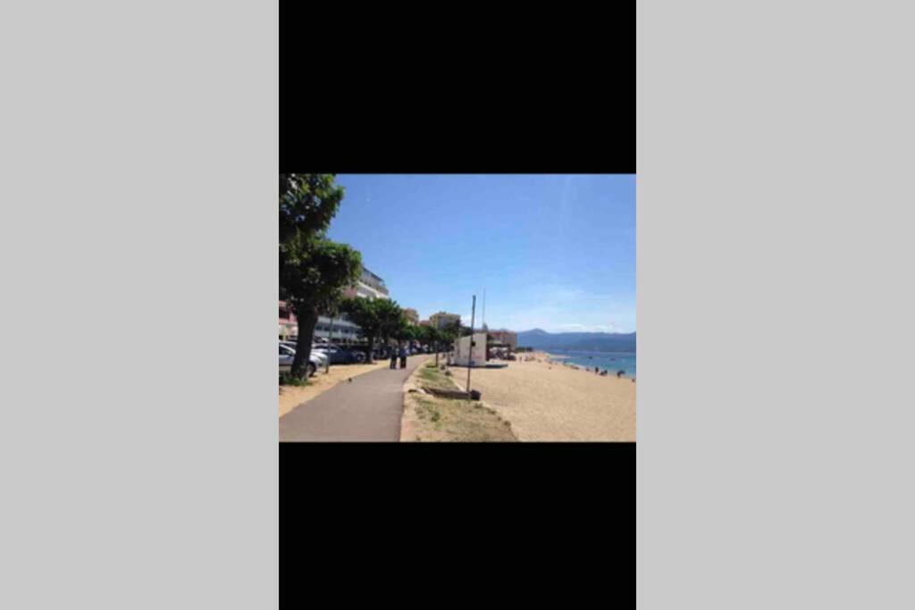 Ajaccio Magnifique T2 Neuf 40M2 Avec Balcon Au Trottel 4 Couchages Wifi Clim Parking Plage A Pieds 100M Екстер'єр фото
