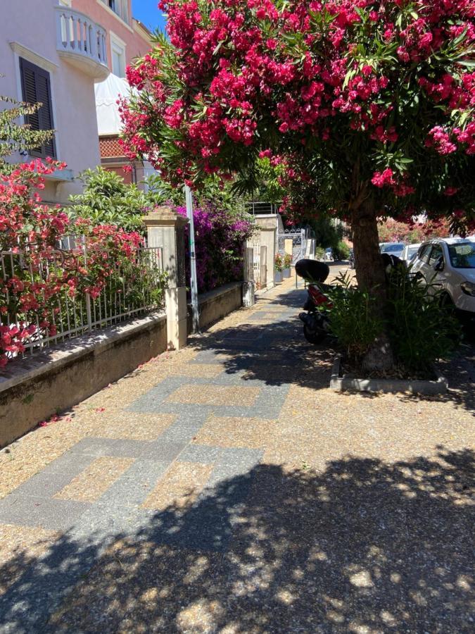 Ajaccio Magnifique T2 Neuf 40M2 Avec Balcon Au Trottel 4 Couchages Wifi Clim Parking Plage A Pieds 100M Екстер'єр фото