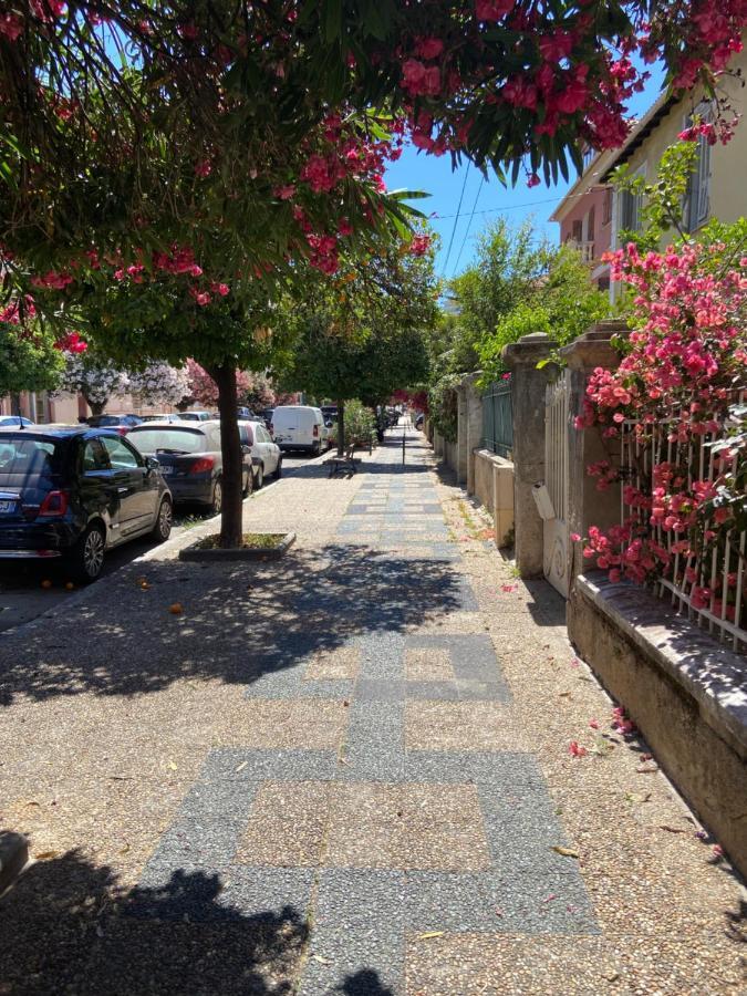 Ajaccio Magnifique T2 Neuf 40M2 Avec Balcon Au Trottel 4 Couchages Wifi Clim Parking Plage A Pieds 100M Екстер'єр фото